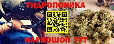 СК Абакан