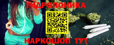 СК Абакан
