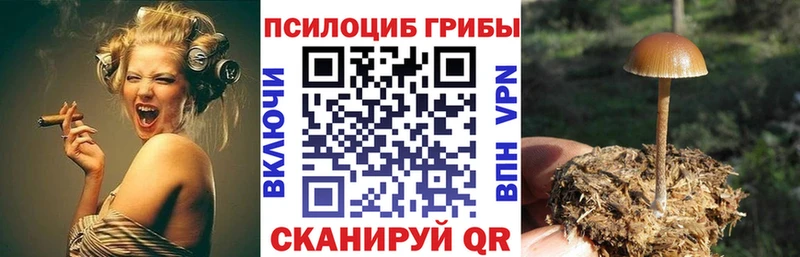 Псилоцибиновые грибы прущие грибы  магазин    Анапа 